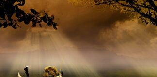 Czy wędkarstwo to drogie hobby?