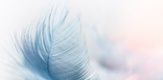 Jaki był najsilniejszy wiatr w Polsce?