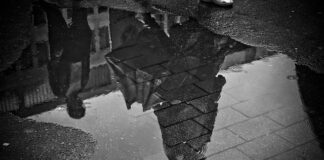 Jak się sprawdza grunt na rybach?