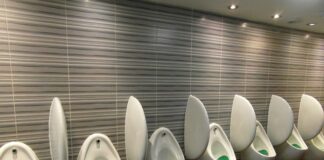 Czy mocz odstrasza sarny?