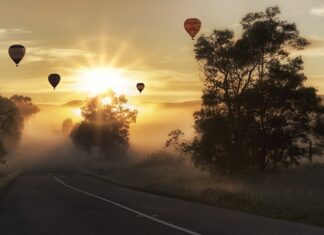 Czy w samolocie można mieć nerkę?