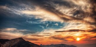 O której godzinie wychodzą jelenie?