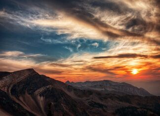 O której godzinie wychodzą jelenie?