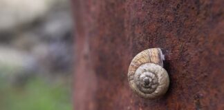 Jak oblicza się tlenki?