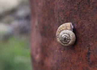 Jak oblicza się tlenki?