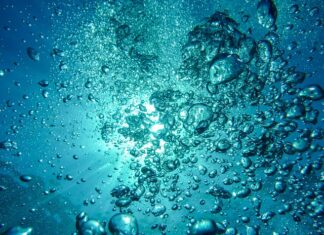 Ile kosztuje nurkowanie w Mszczonowie?