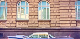 Co buduje masę mięśniowa?