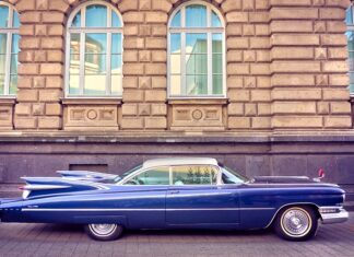 Co buduje masę mięśniowa?