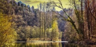 Ile wynosi pas rzeczny?