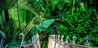 Ile trwa kurs nurkowania w Egipcie?