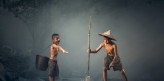 Czy ryby czują strach?