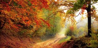 O jakiej porze dnia jeść węglowodany?