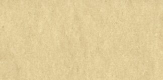 Jak sprawdzić certyfikat w PADI?