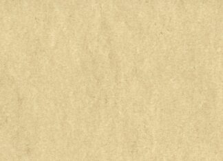 Jak sprawdzić certyfikat w PADI?