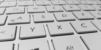 Co to jest feeder guma?