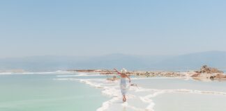 Czy Sole to związki jonowe?