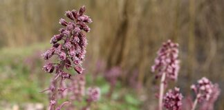 Kiedy jest hybrydyzacja sp sp2 sp3?