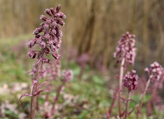 Kiedy jest hybrydyzacja sp sp2 sp3?